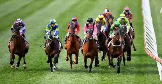 Why Is The Melbourne Cup Important